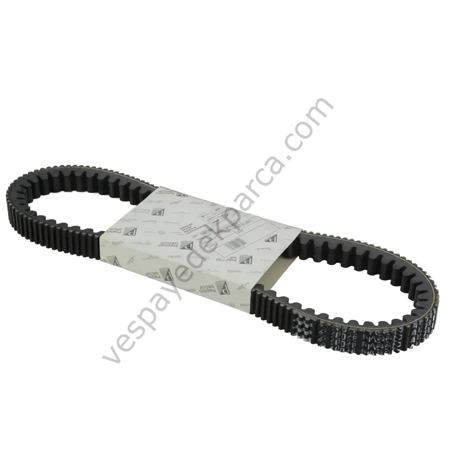 VARYATÖR KAYIŞI GTS 310-250 2024-25